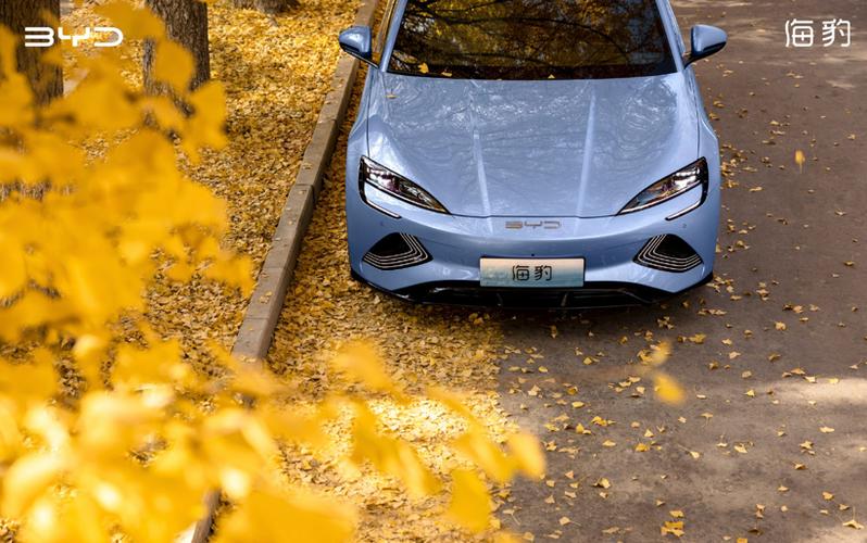 Nisshinbo代理商，日清紡(理光)代理商，NJRC現(xiàn)貨-NJRC四路復(fù)合式穩(wěn)壓器PMU，NJW4750MHH-T1-TE1 ，車載360全景攝相頭 