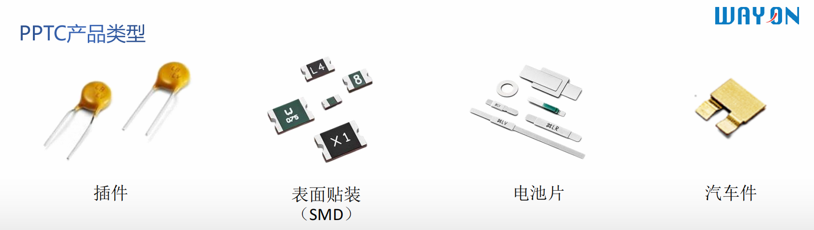 WAYON，維安，PPTC，LP-ISM010/24，LP-NSM010