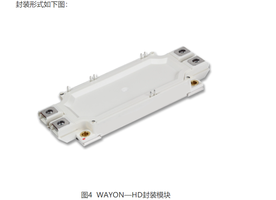 Wayon  IGBT,維安IGBT,新能源汽車IGBT，維安代理商，Wayon代理商